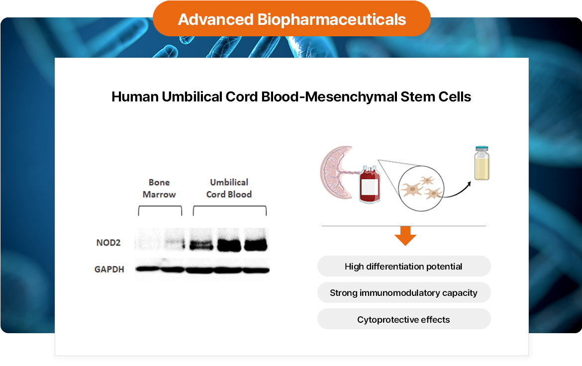 Human umbilical cord blood–derived mesenchymal stem cells for atopic dermatitis