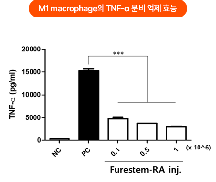 M1 macrophage의 TNF-α 분비 억제 효능
