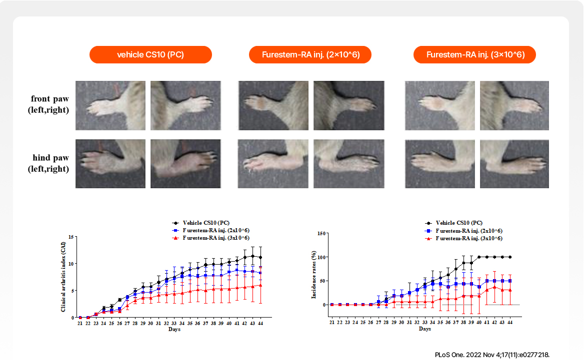 비임상 유효성 평가