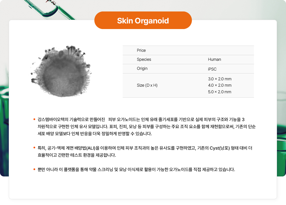 피부 오가노이드