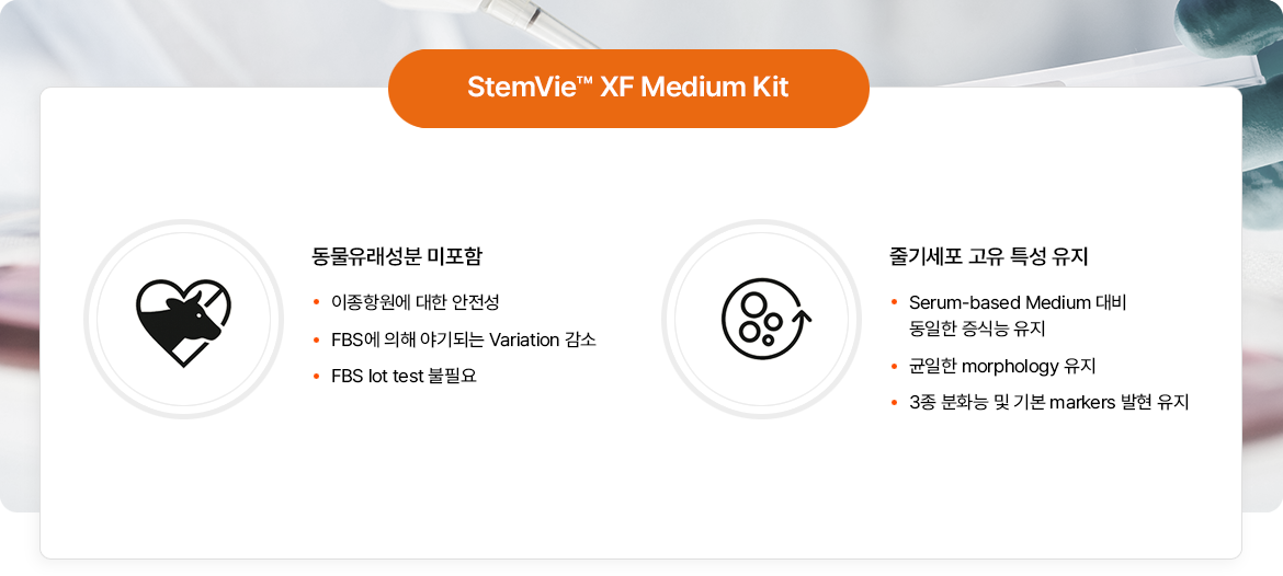StemVie™ XF Medium Kit 특장점