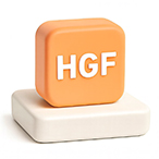 간세포 성장인자