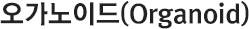오가노이드(Organoid)