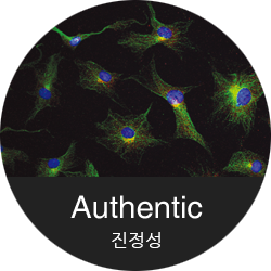 진정성